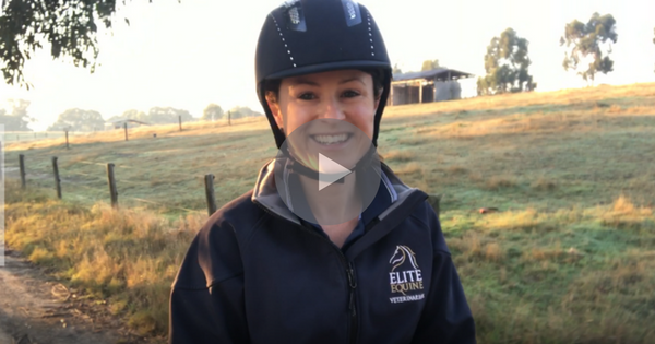 How to Relax While Trail Riding