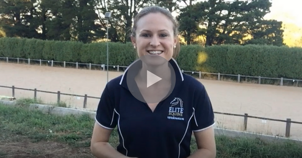 Sit how you want your Horse to Move