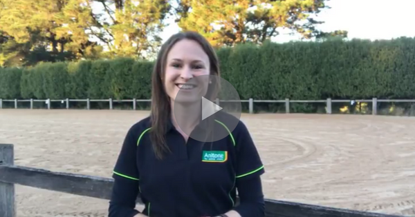 How to Create Motivation in your Riding: Goal Setting – Part B