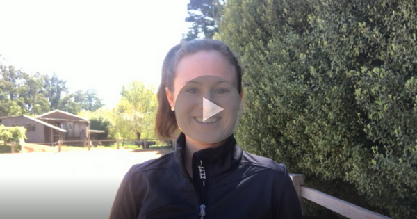 What To Do When Everything Is Going Well In Your Riding?!