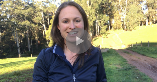 Are You On Track To Achieve Your 2017 Goals?