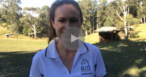 Sponsorship Positions 2018