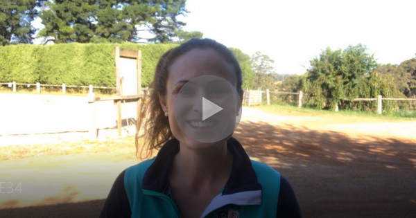 The Definition of Insanity