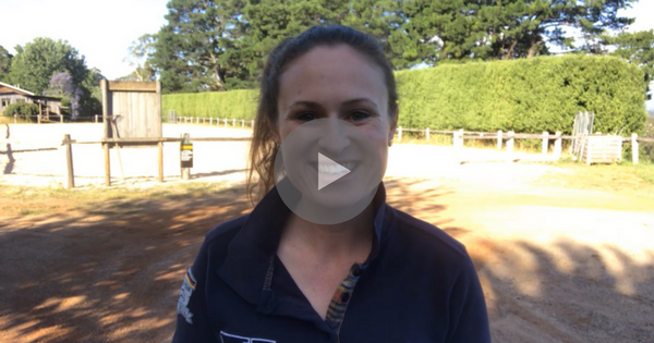 Is Your Strategy Letting Your Down?