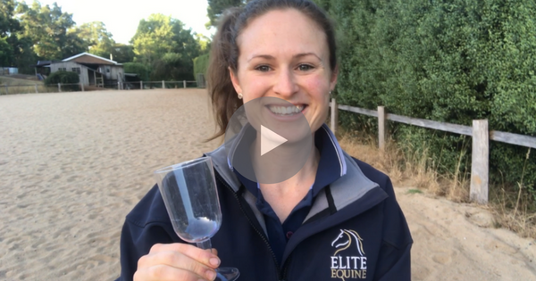 Dressage Fun with Wine!