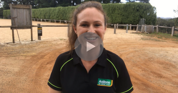 What I Learnt at my Competition