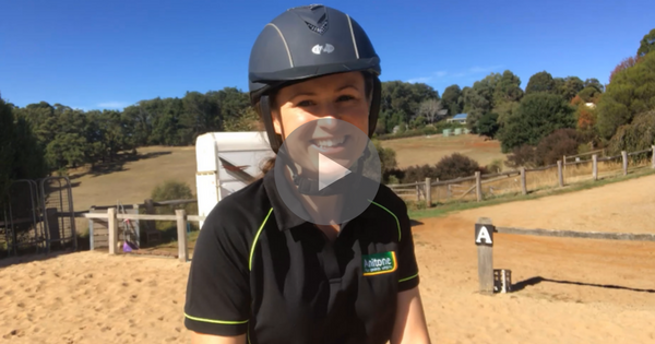 Visualisation – Training Series Part 2 of 4