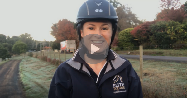 Shying Tips – Video 3 of 5