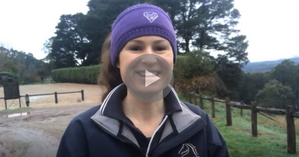 Shying Tips – Video 4 of 5