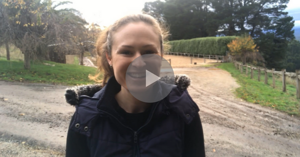 Shying Tips – Video 5 of 5