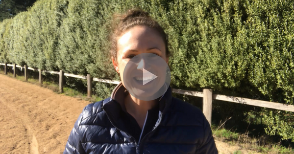 How Your Hearing Affects Your Focus