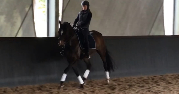 My Learnings in a Clinic with Stefan Wolff