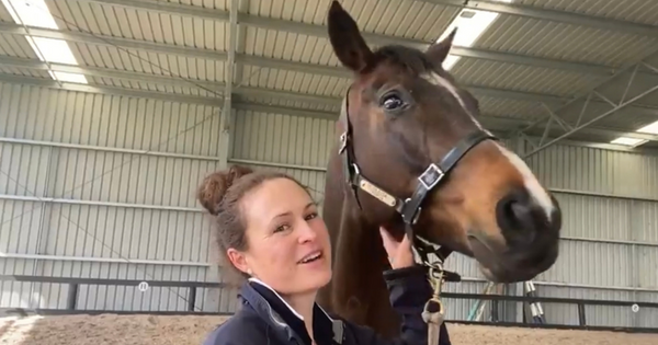 Embrace a Dressage Gratitude Habit to Ride with Confidence & Calm