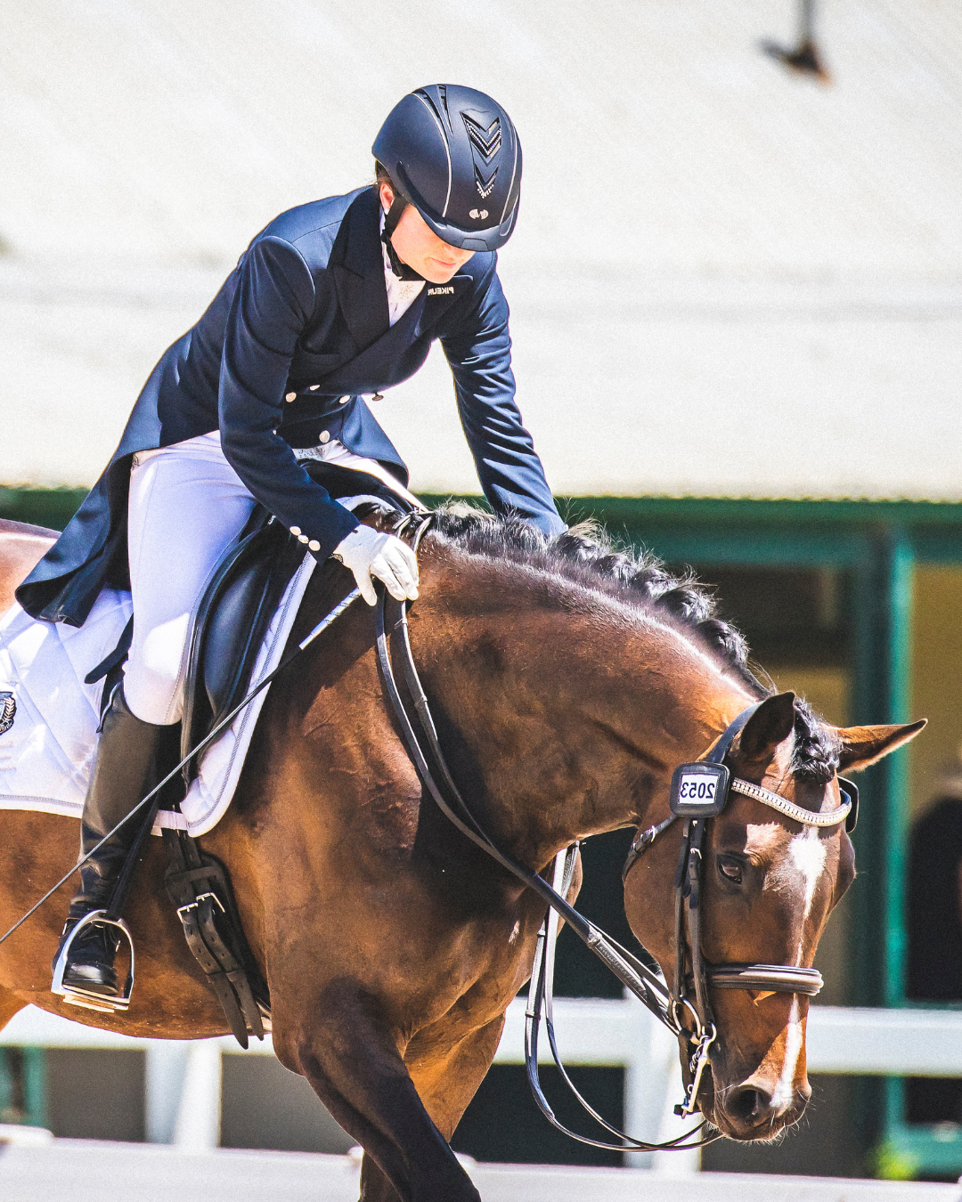 Dressage rider after Confident Competition Rider Workshop