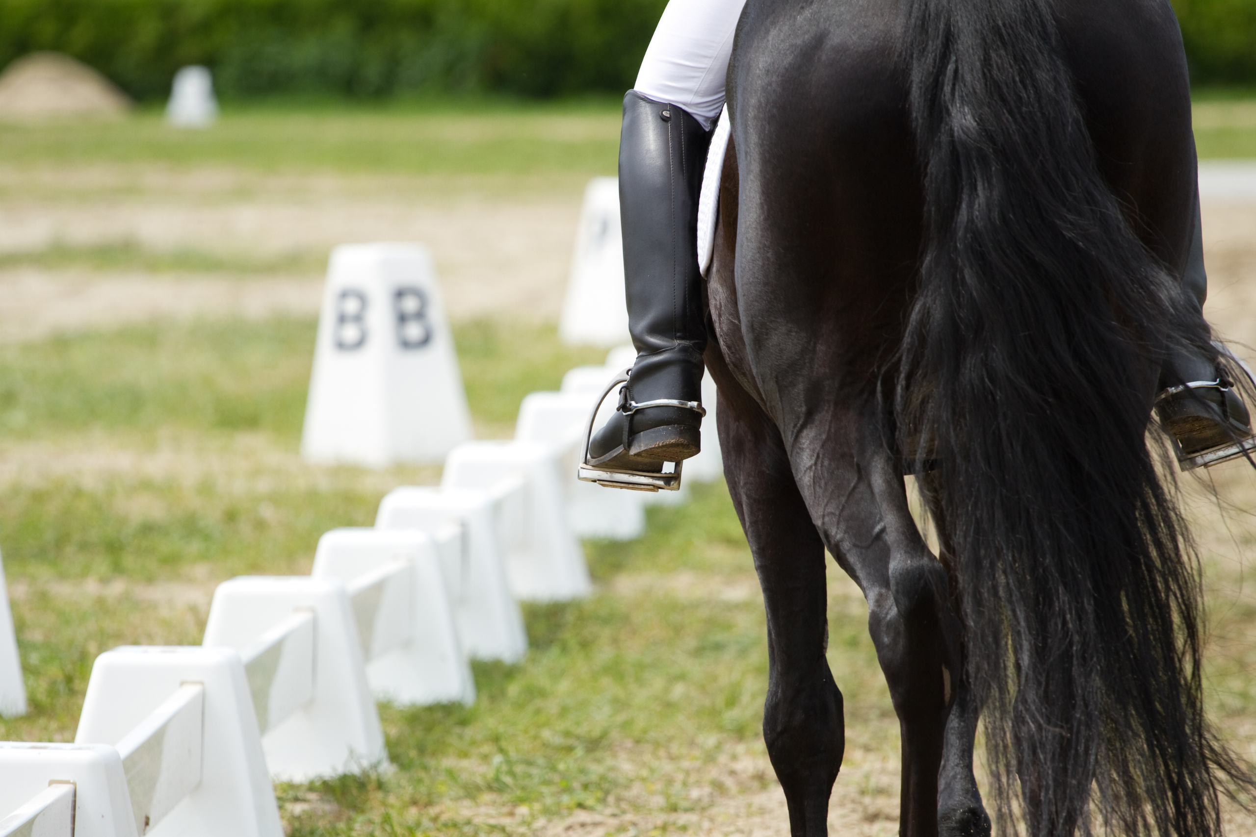 Dressage Images 2560x1707 (6)
