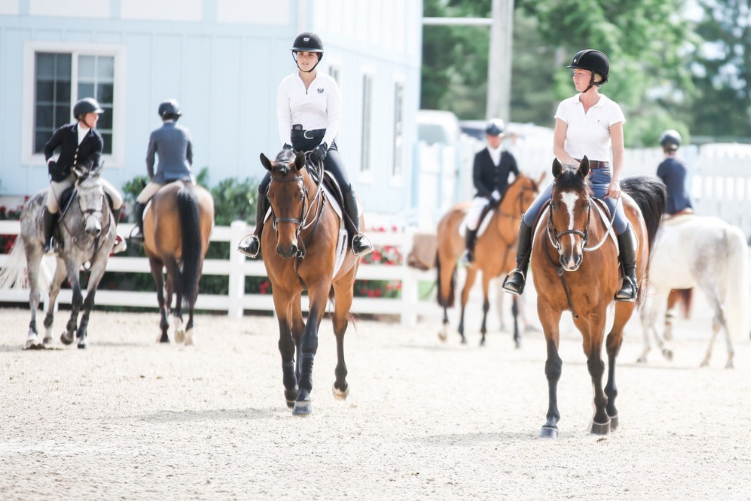 Ride Confident Warm-ups