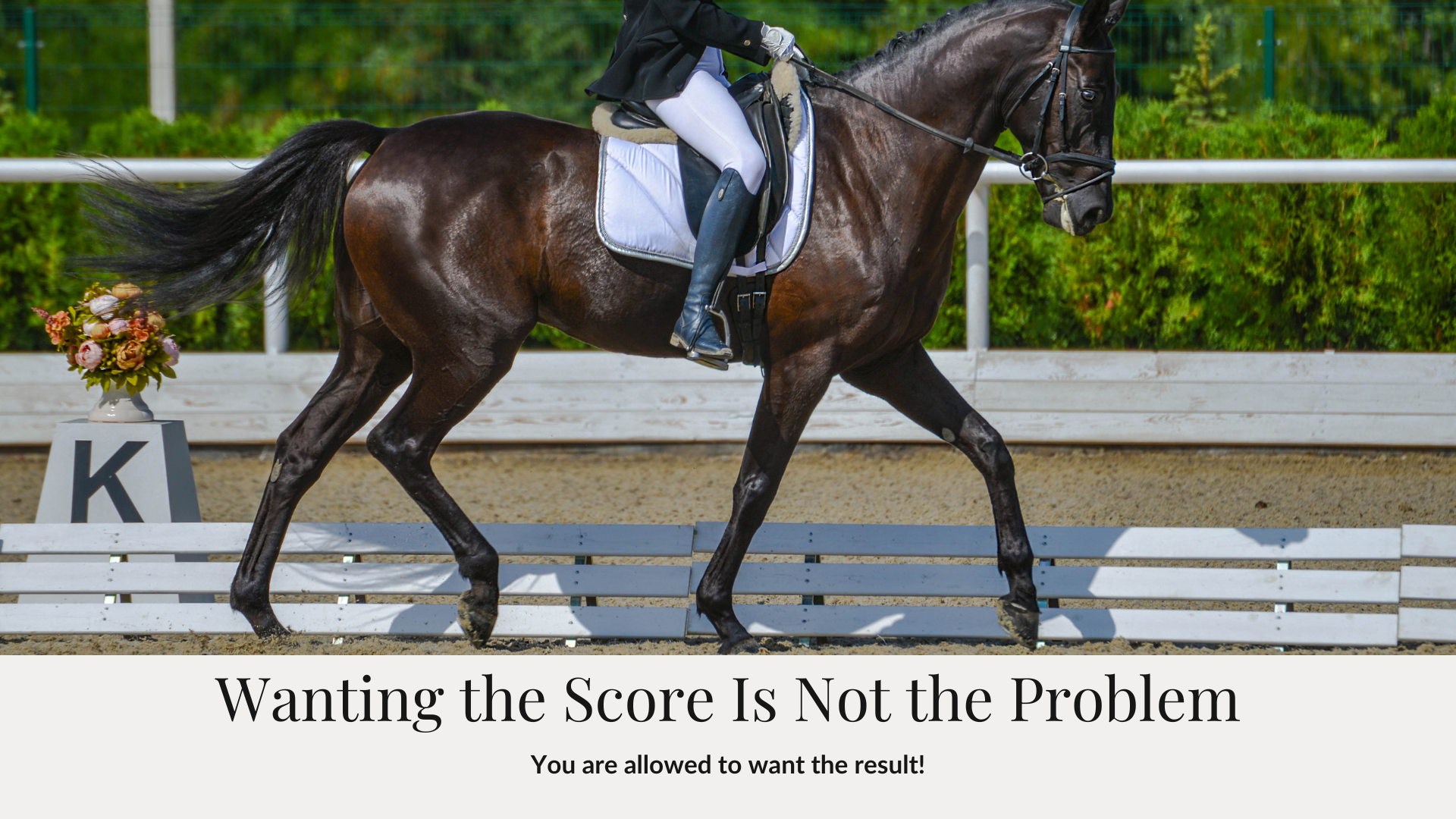 Dressage Competition Scores